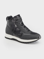 Baskets en alligator de Toronto