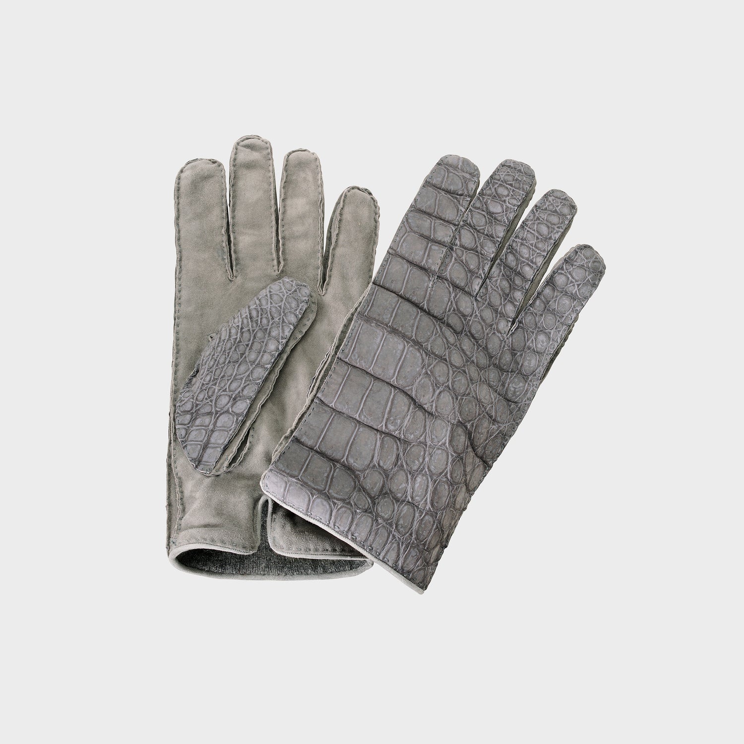 Paris Alligator Gloves